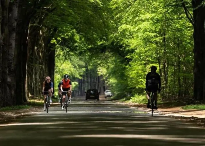 Voorzien Alle Gemakken In Bosrijke Omgeving * Voorthuizen
