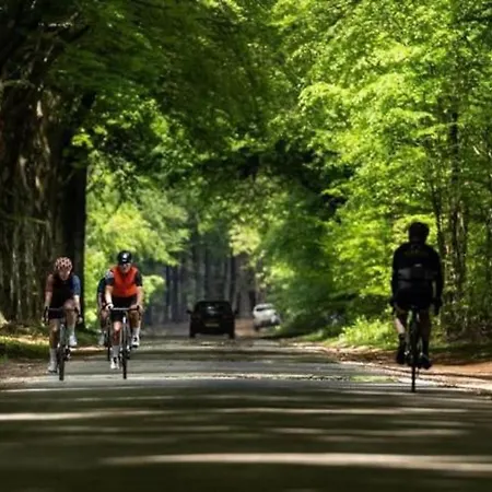 Voorzien Alle Gemakken In Bosrijke Omgeving * Voorthuizen